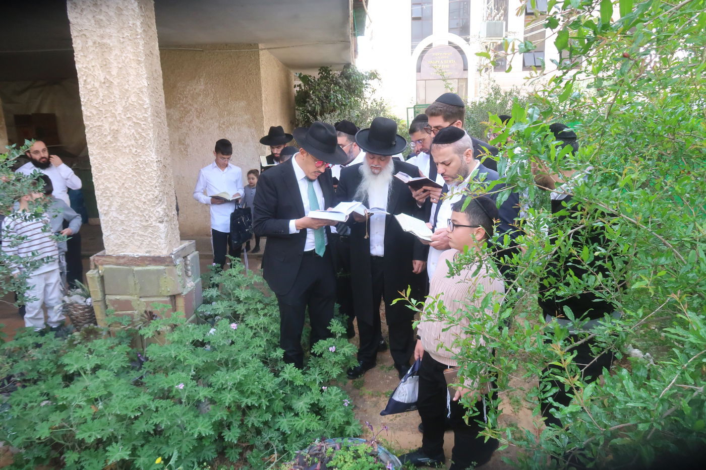הרב יגאל כהן בברכת האילנות