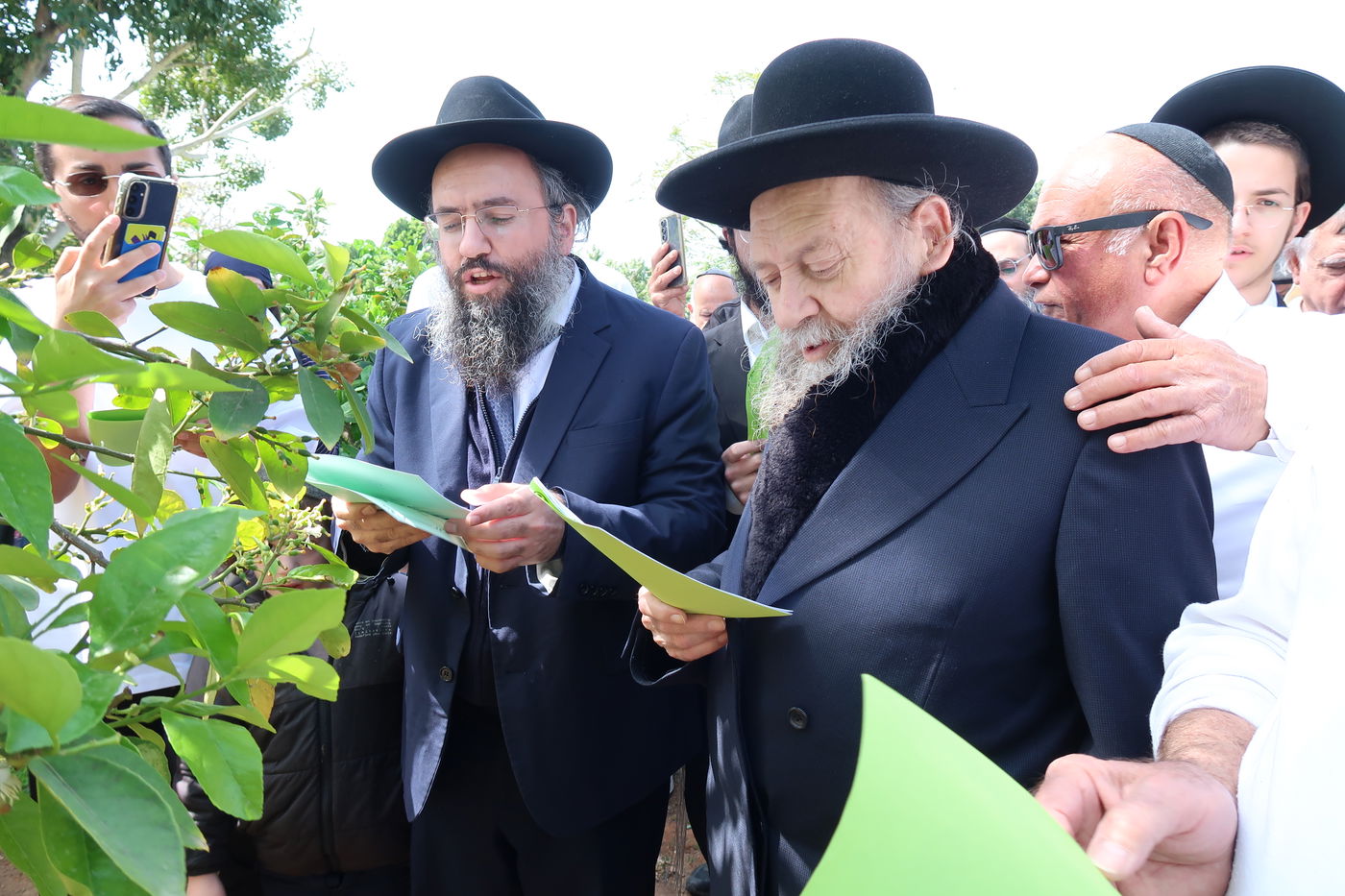 המקובל רבי דוד בצרי בברכת האילנות