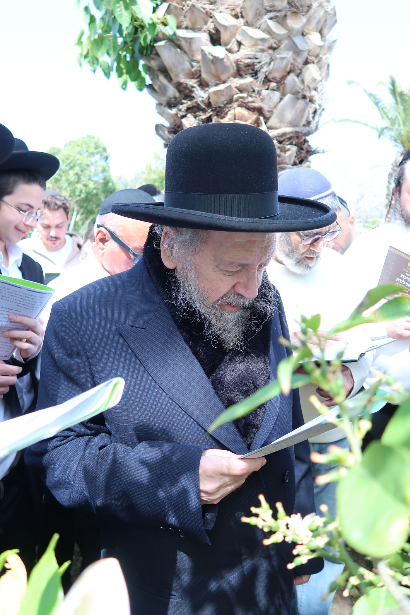 המקובל רבי דוד בצרי בברכת האילנות