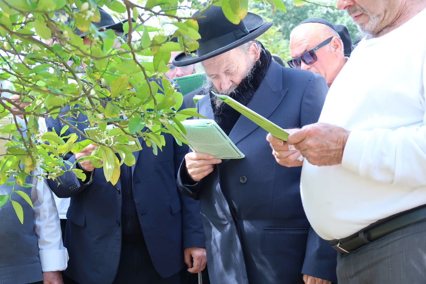 המקובל רבי דוד בצרי בברכת האילנות