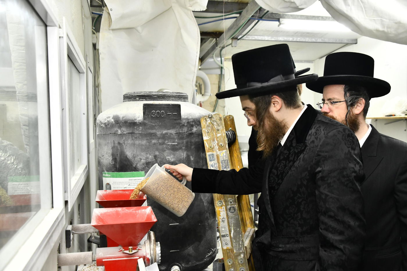 האדמו"ר מסאדיגורה בטחינת חיטים