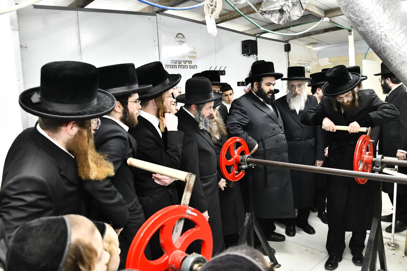 האדמו"ר מסאדיגורה בטחינת חיטים