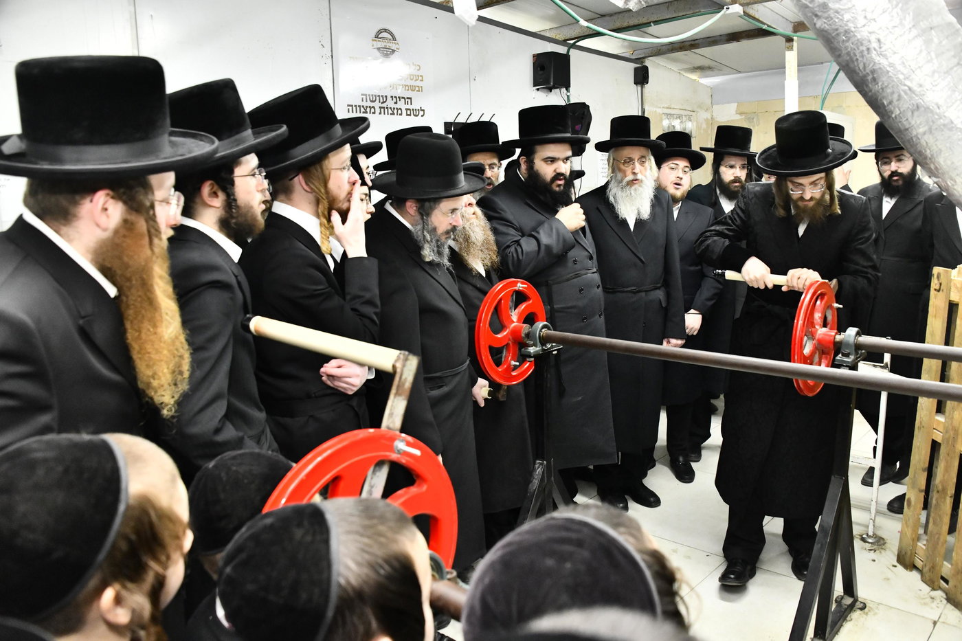 האדמו"ר מסאדיגורה בטחינת חיטים