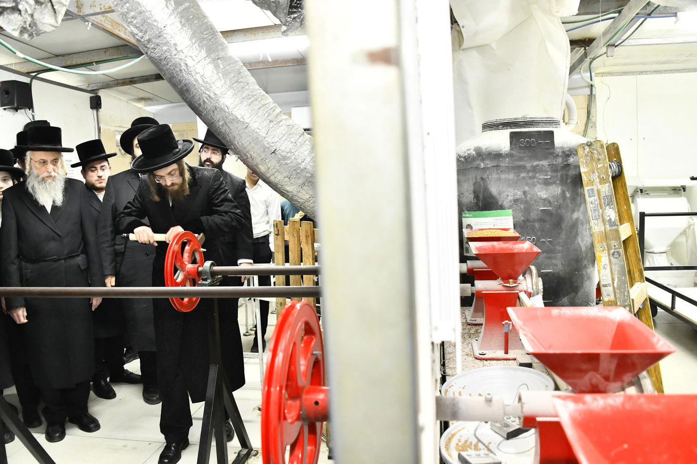 האדמו"ר מסאדיגורה בטחינת חיטים