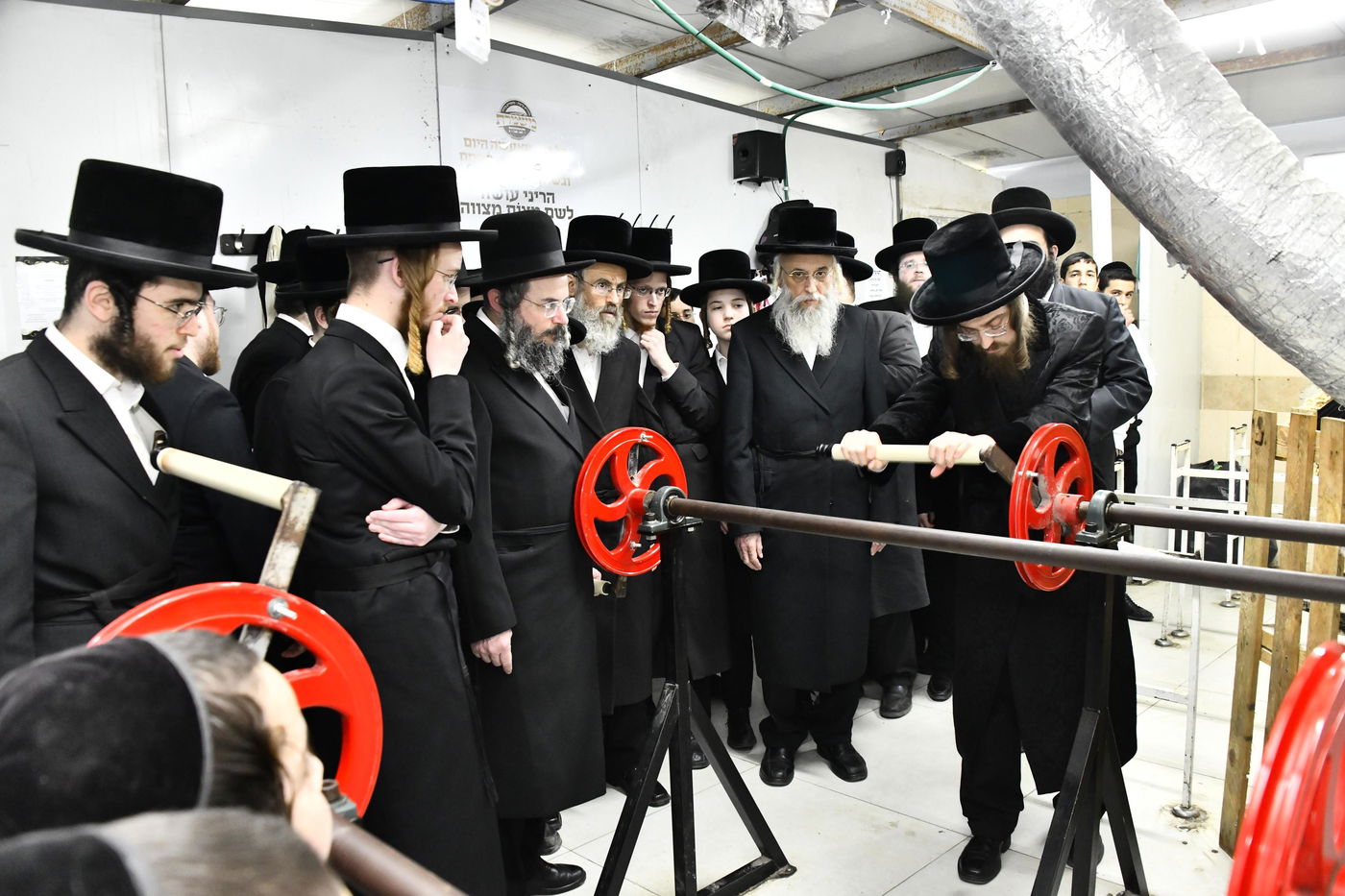 האדמו"ר מסאדיגורה בטחינת חיטים