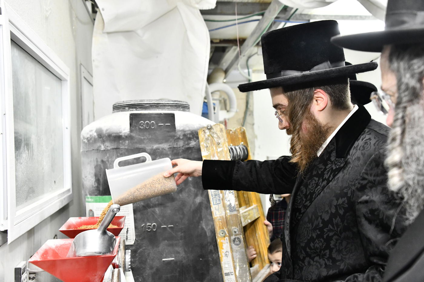 האדמו"ר מסאדיגורה בטחינת חיטים