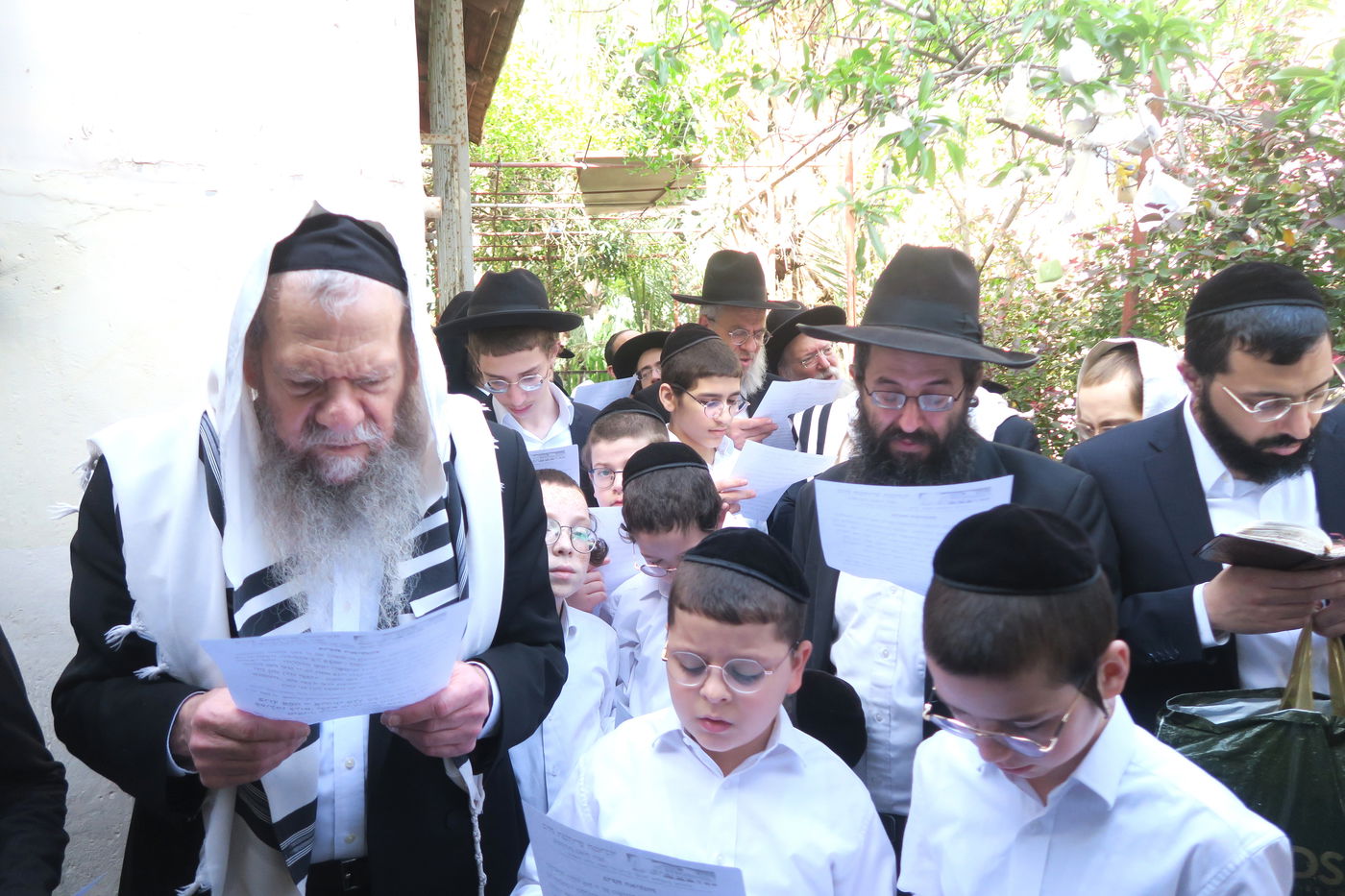 הגרמ"ש אדלשטיין בברכת האילנות 