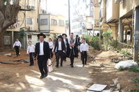 הגרמ"ש אדלשטיין בברכת האילנות 