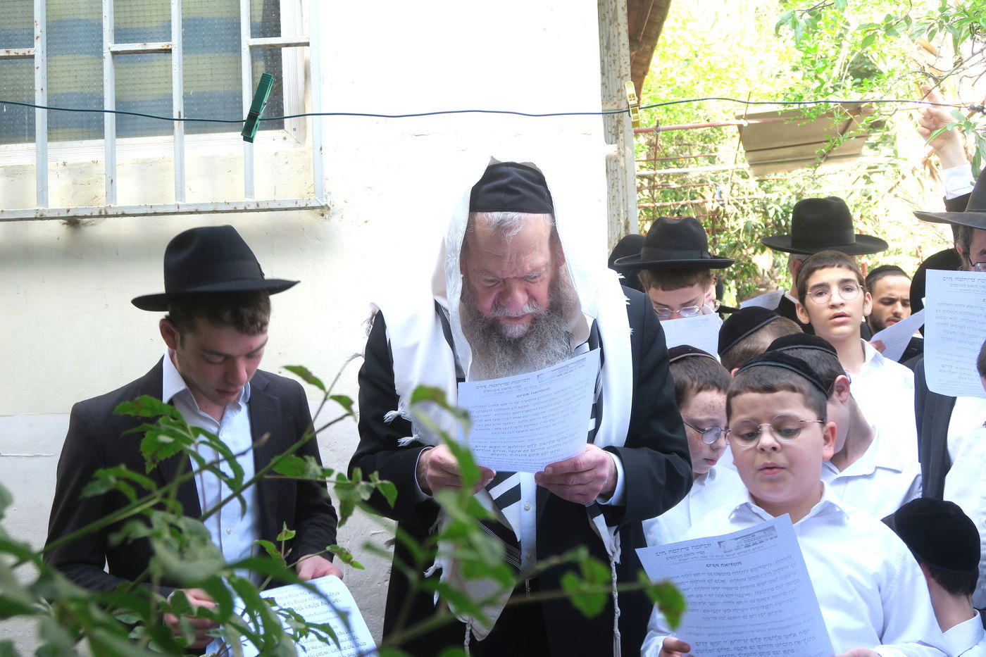 הגרמ"ש אדלשטיין בברכת האילנות 