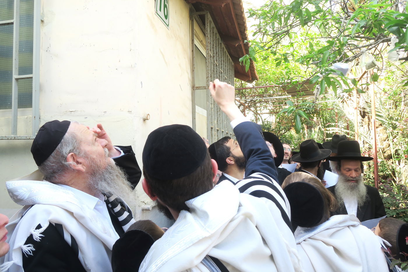 הגרמ"ש אדלשטיין בברכת האילנות 