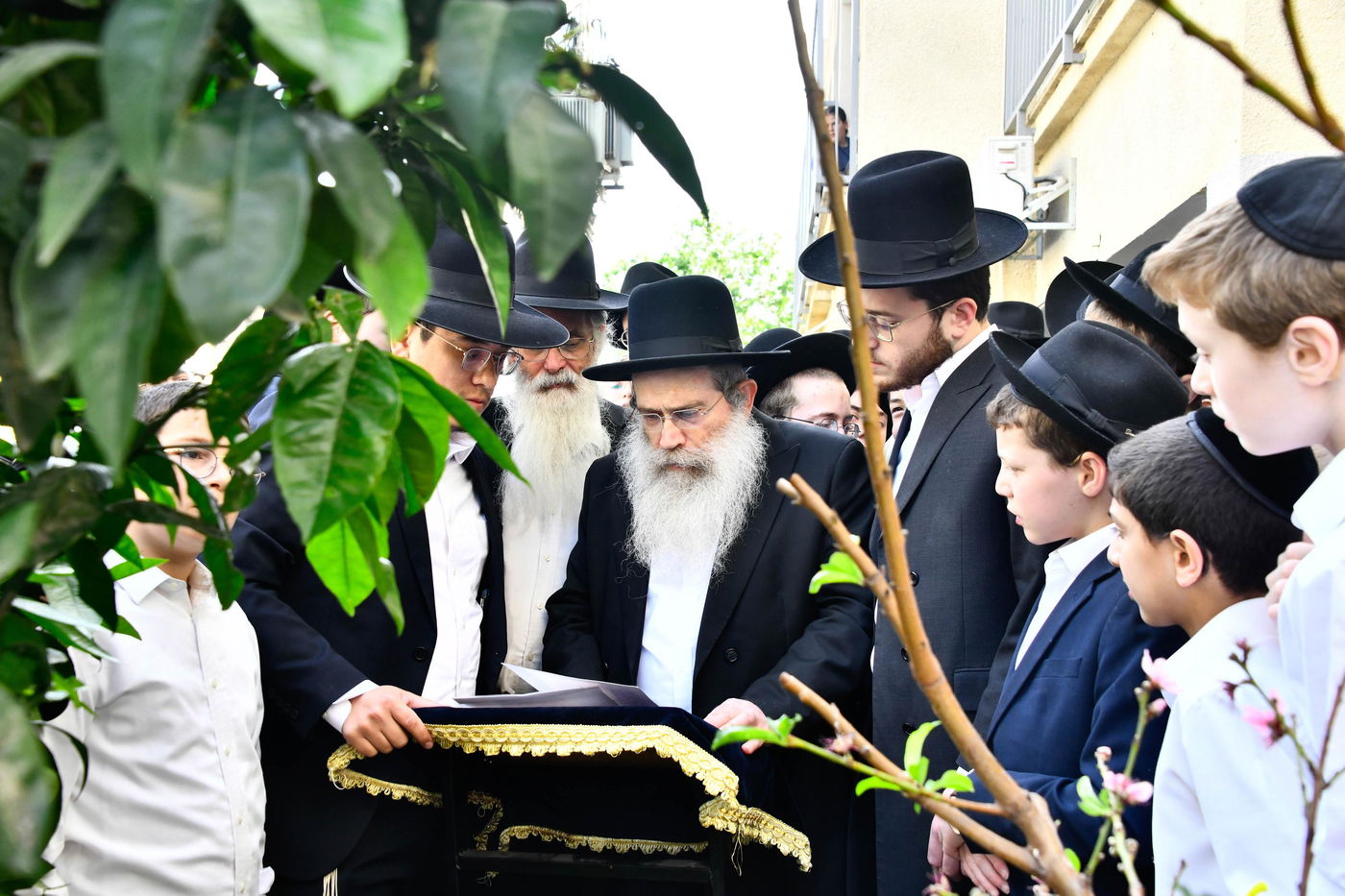 הגר"ש שטיינמן בברכת האילנות