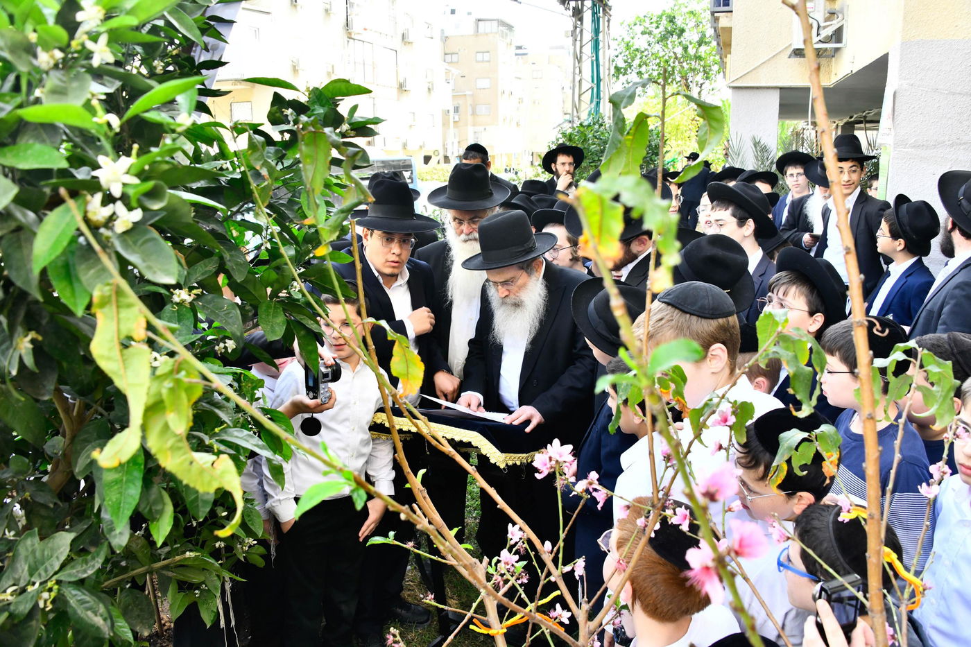 הגר"ש שטיינמן בברכת האילנות