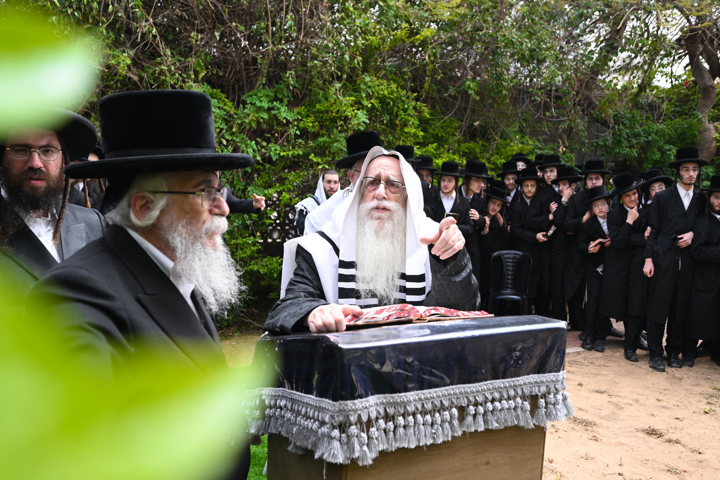 האדמו"ר מצאנז בברכת האילנות