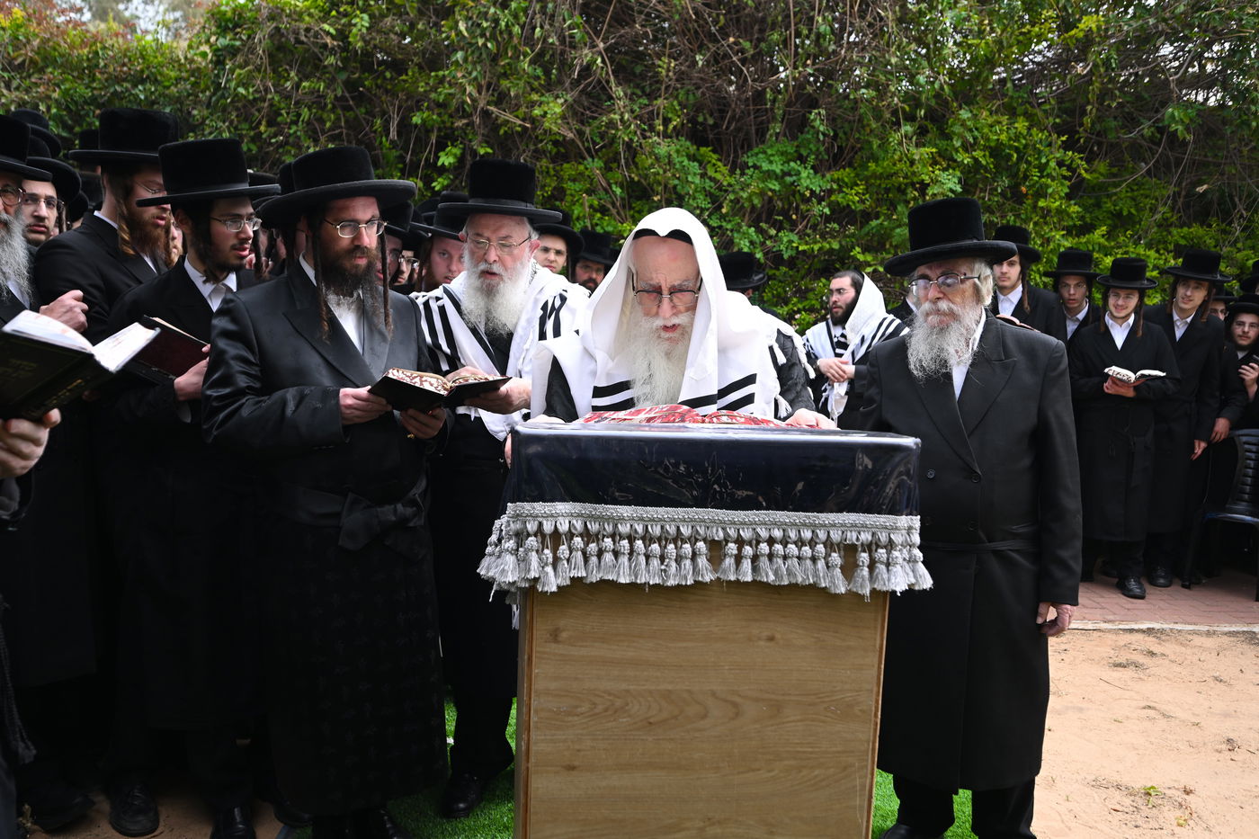 האדמו"ר מצאנז בברכת האילנות