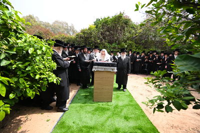 האדמו"ר מצאנז בברכת האילנות