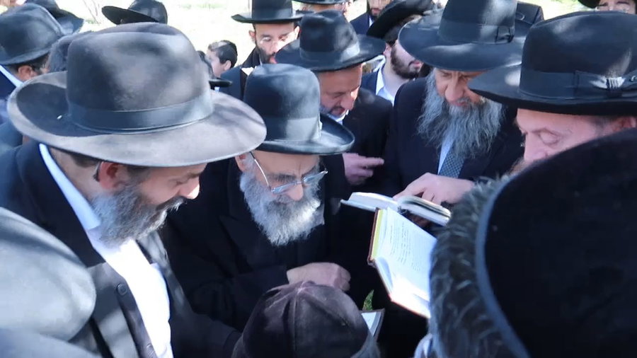 הגאון רבי משה צדקה בברכת האילנות