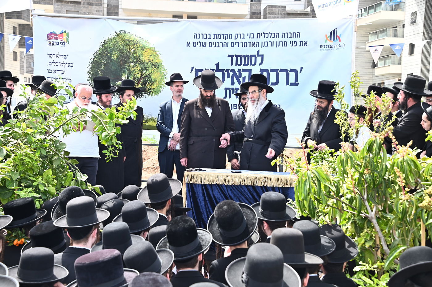 ברכת האילנות במתחם הסופרים בב"ב