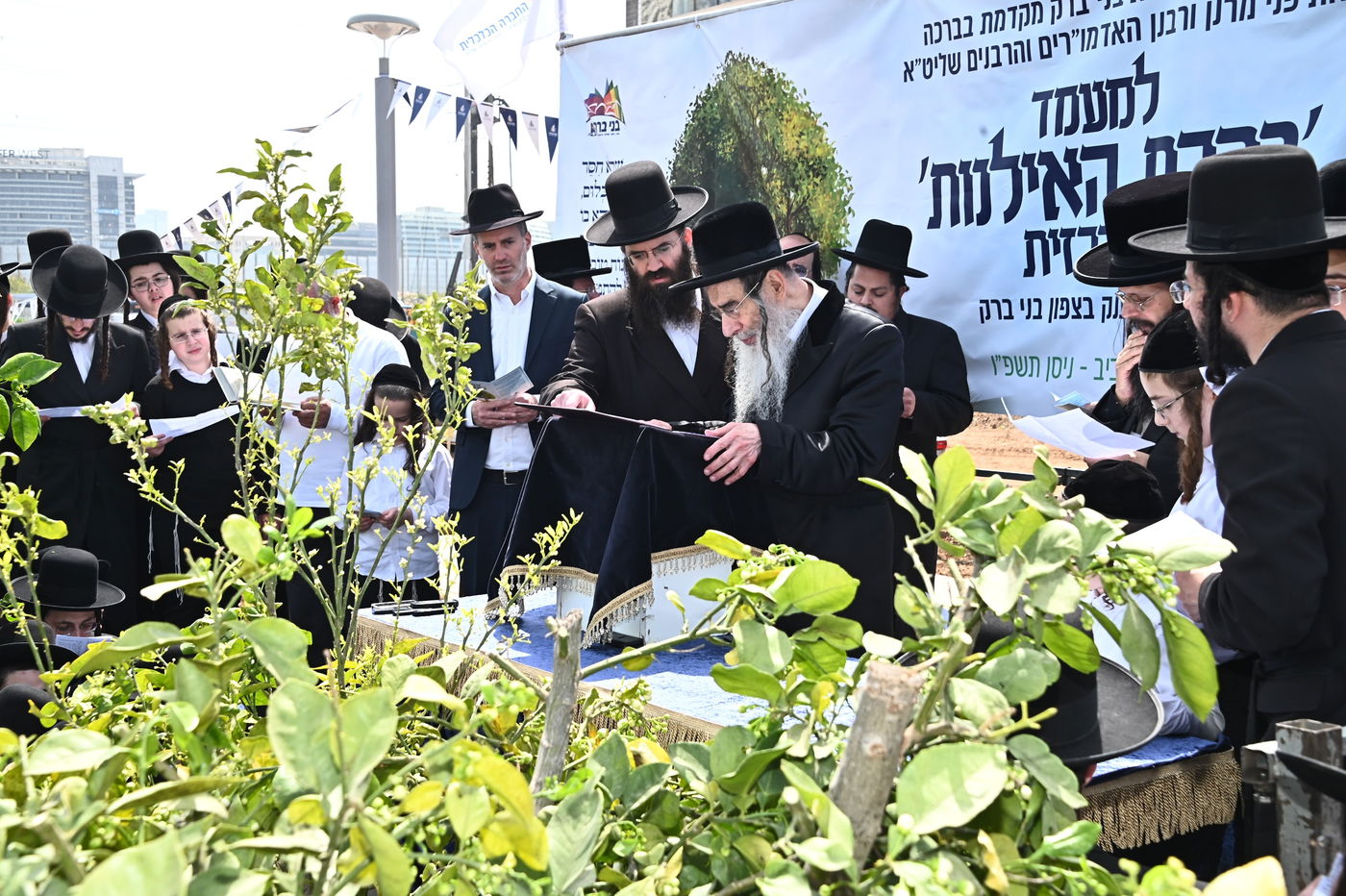 ברכת האילנות במתחם הסופרים בב"ב