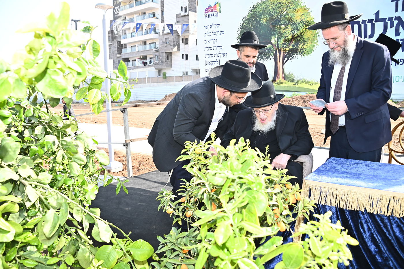 הגרמ"צ ברגמן בברכת האילנות במתחם הסופרים בב"ב