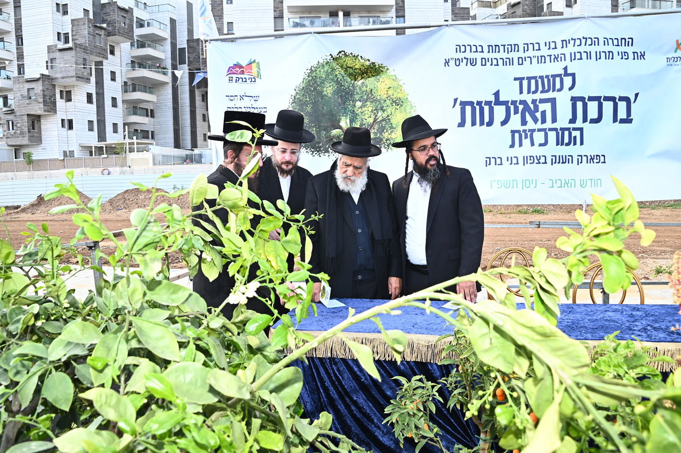 הגר"ש מחפוד בברכת האילנות במתחם הסופרים בב"ב