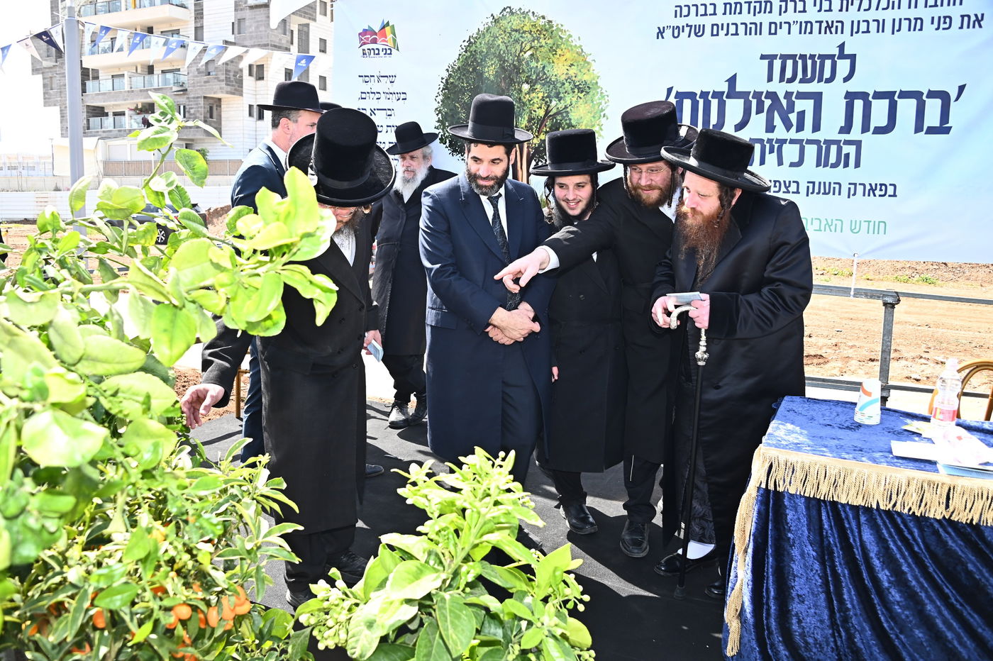 ברכת האילנות במתחם הסופרים בב"ב