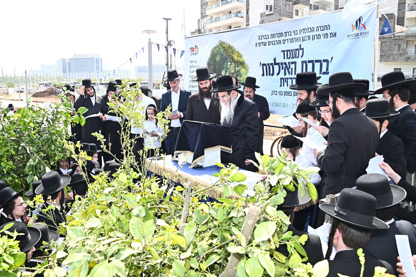 ברכת האילנות במתחם הסופרים בב"ב