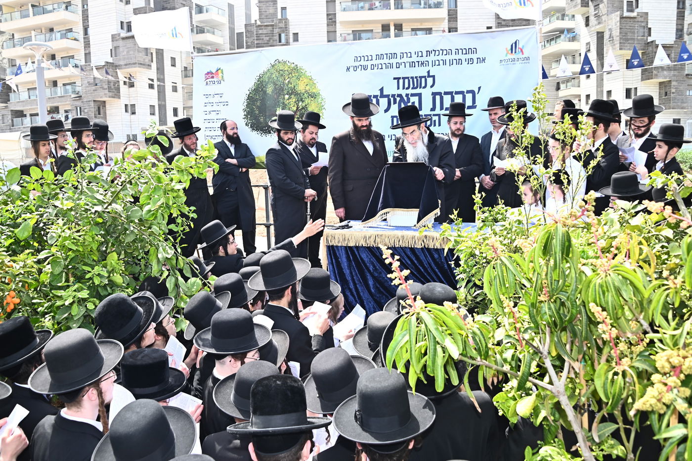 ברכת האילנות במתחם הסופרים בב"ב