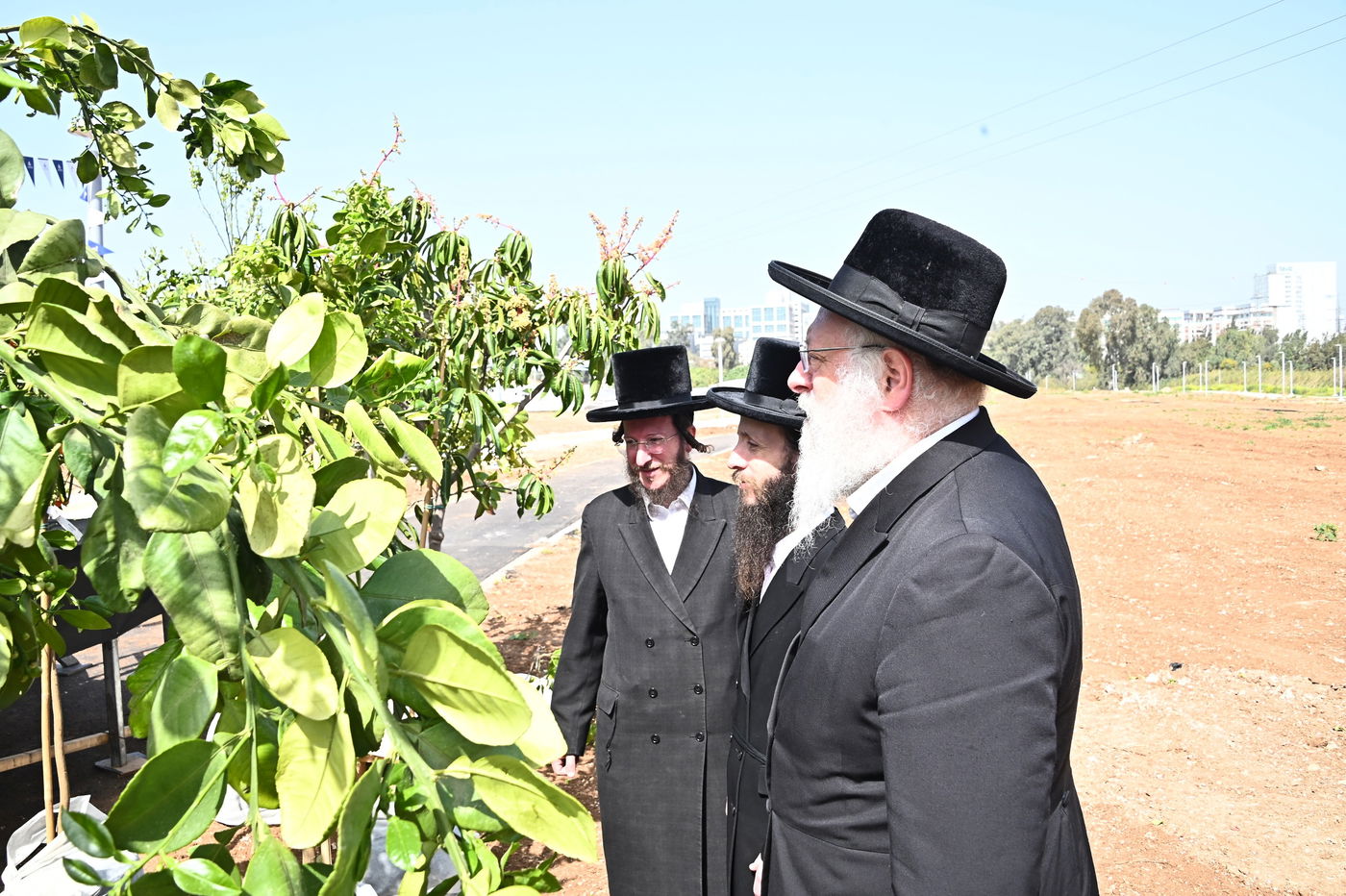 ברכת האילנות במתחם הסופרים בב"ב