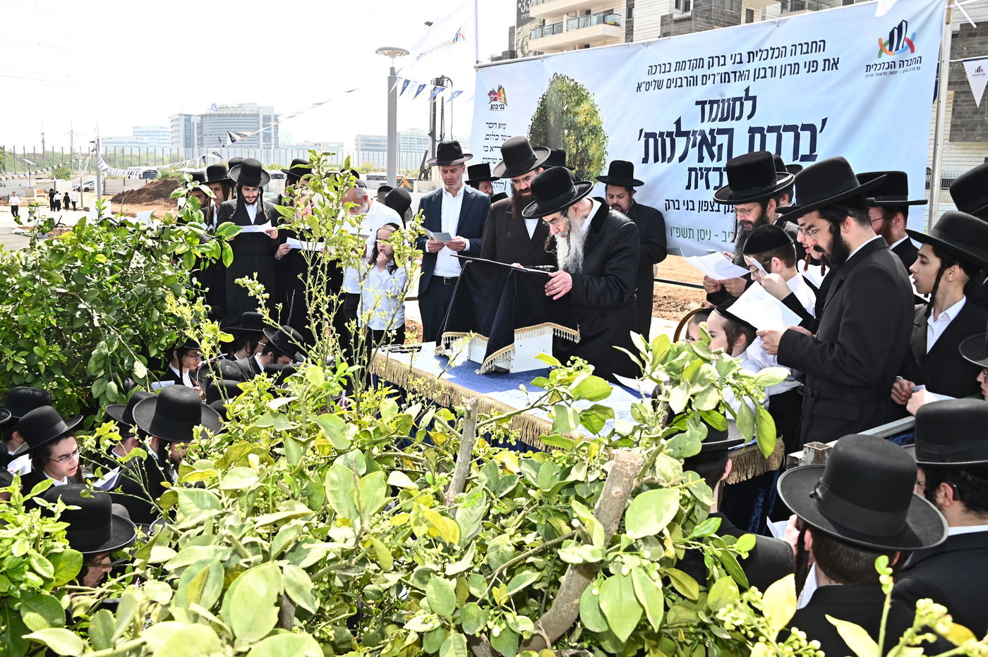 ברכת האילנות במתחם הסופרים בב"ב