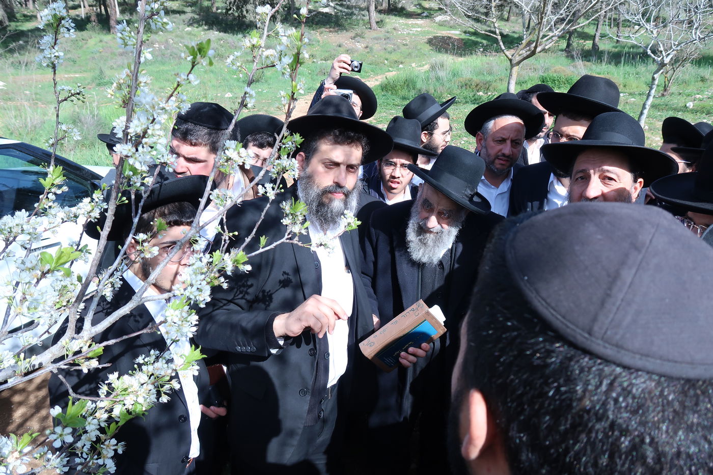 הגאון רבי משה צדקה בברכת האילנות