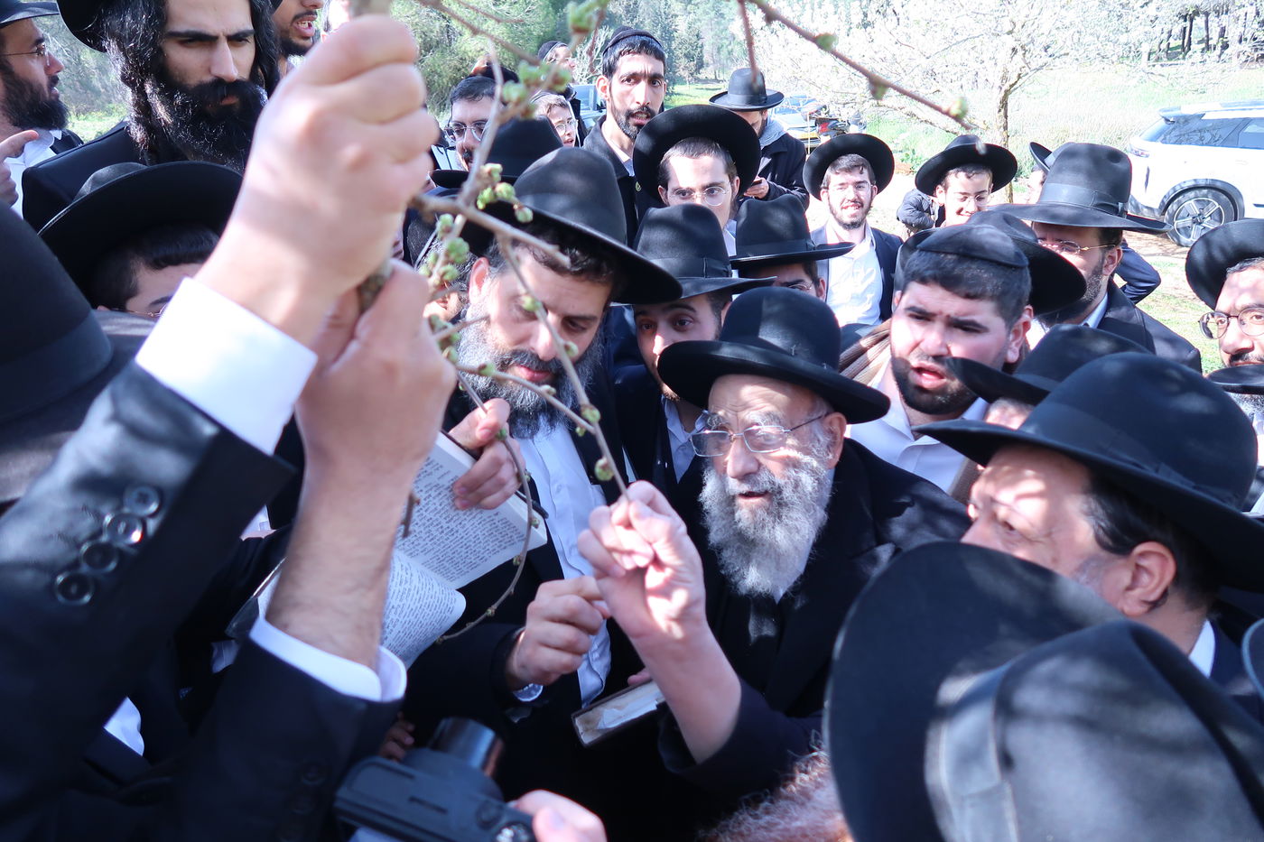 הגאון רבי משה צדקה בברכת האילנות