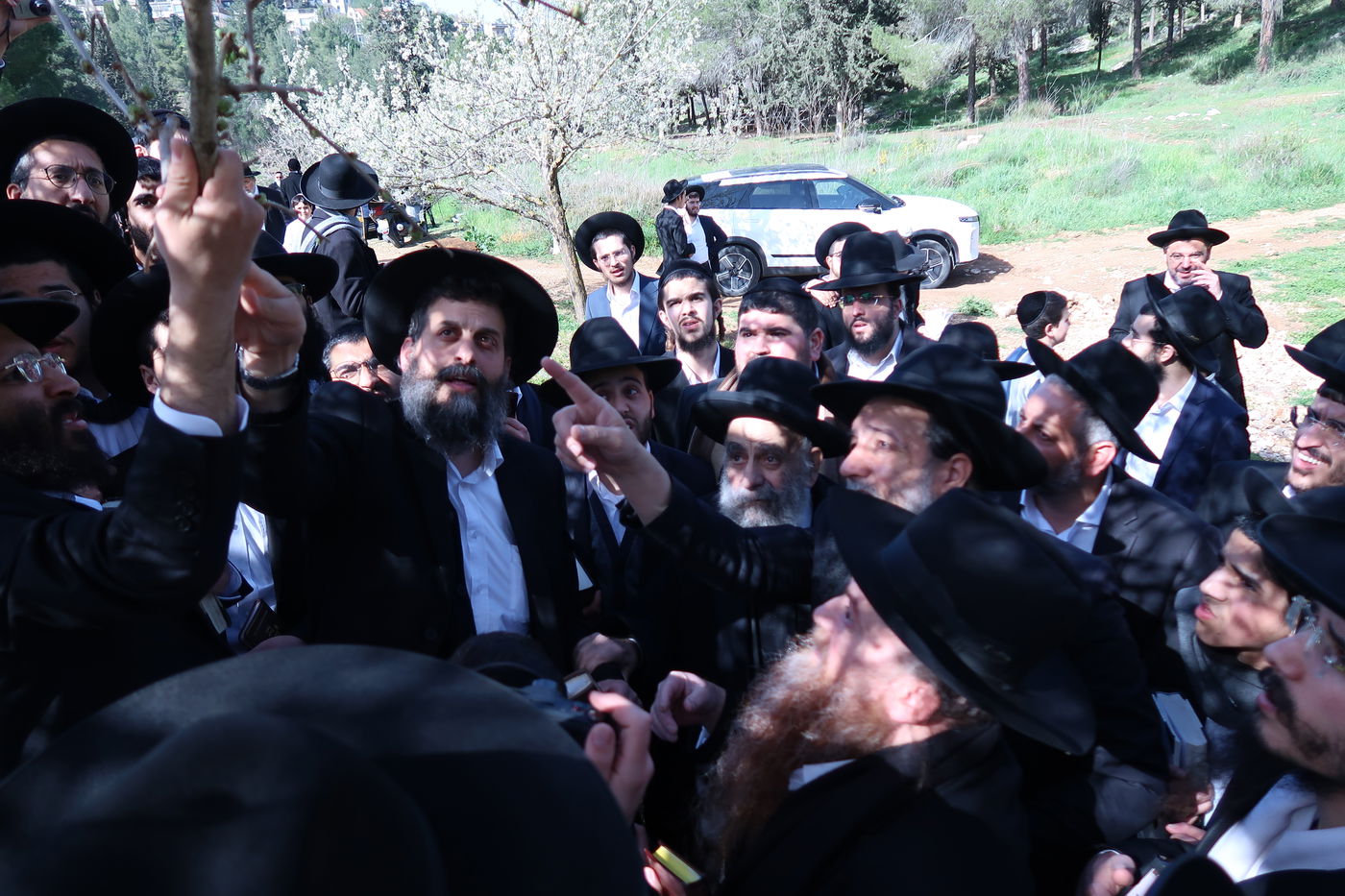 הגאון רבי משה צדקה בברכת האילנות