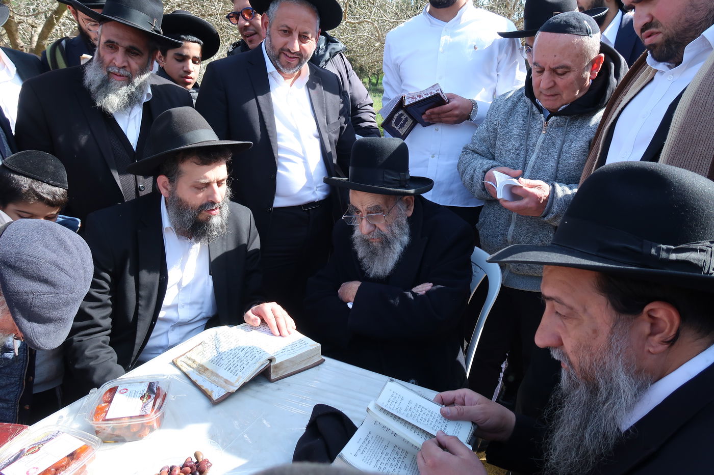 הגאון רבי משה צדקה בברכת האילנות