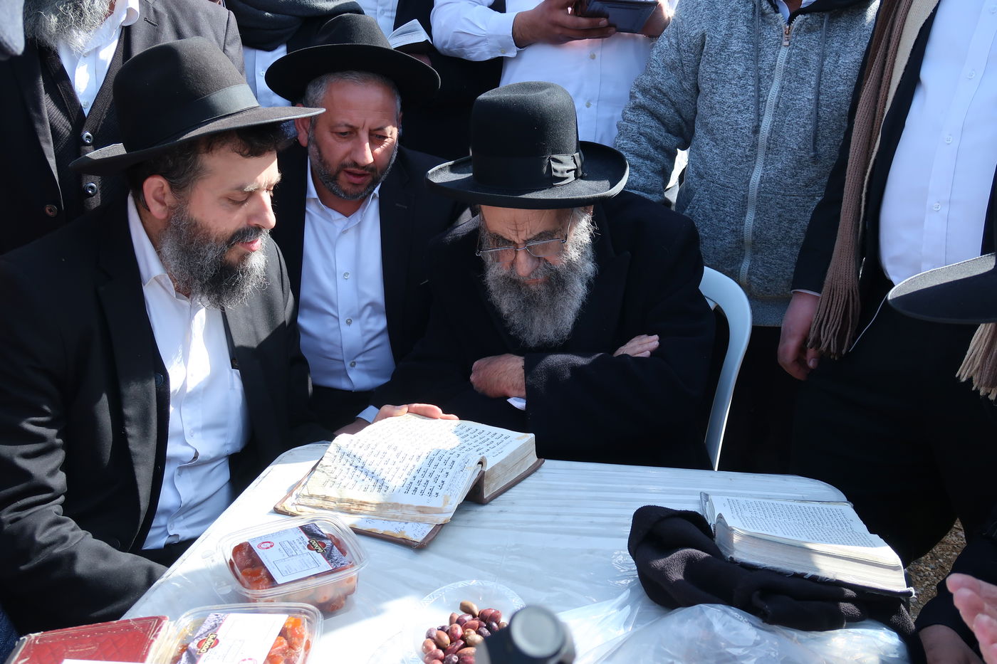 הגאון רבי משה צדקה בברכת האילנות