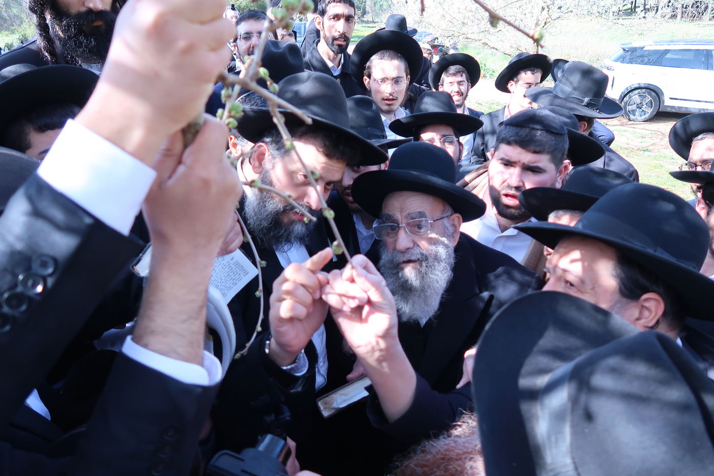 הגאון רבי משה צדקה בברכת האילנות