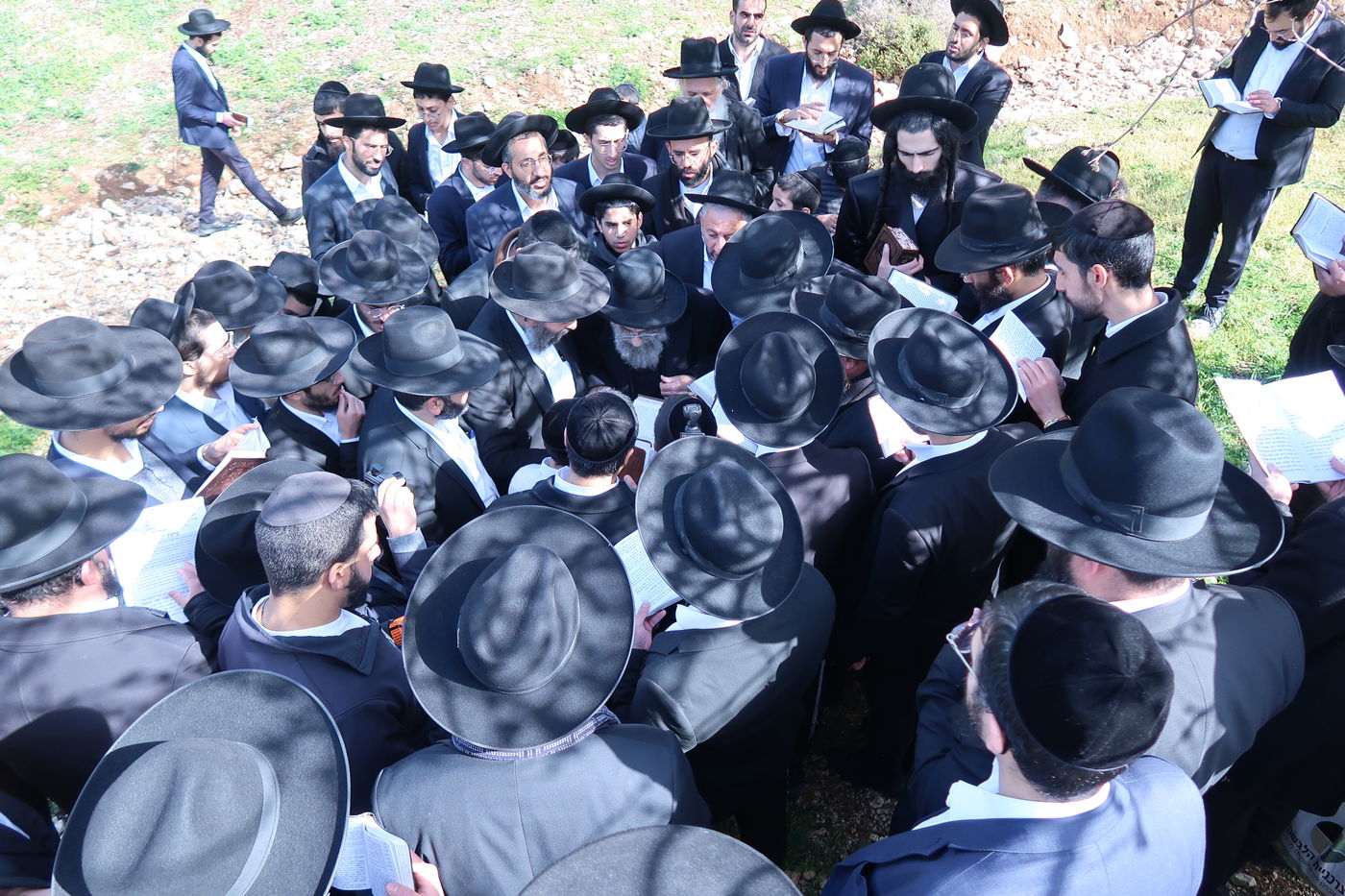 הגאון רבי משה צדקה בברכת האילנות