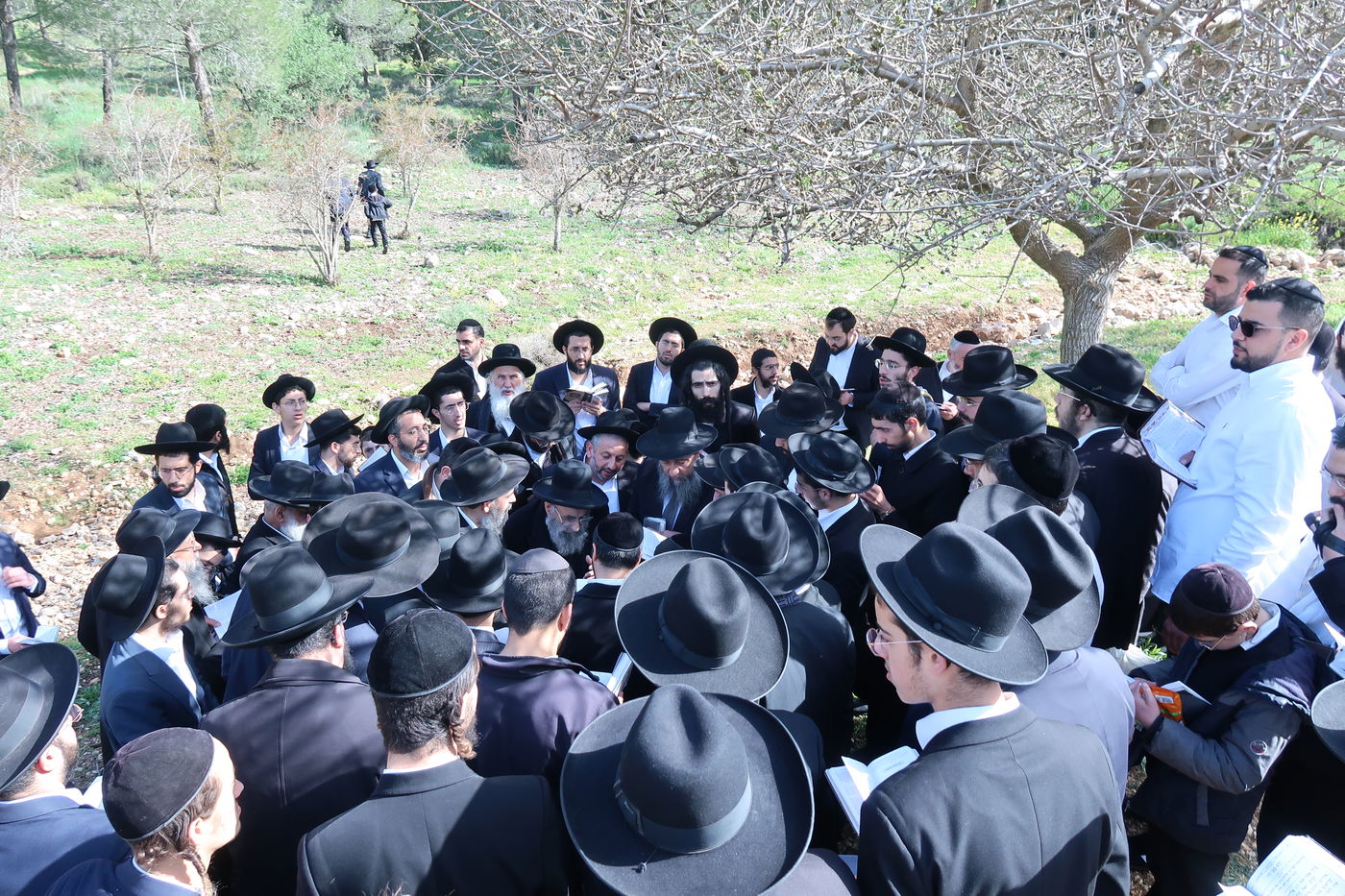 הגאון רבי משה צדקה בברכת האילנות