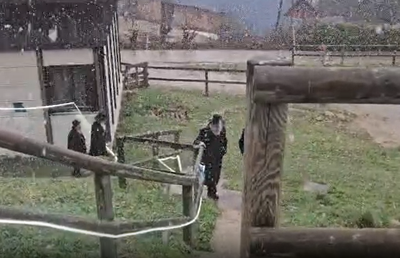 באמצע המלחמה: חבר המועצת הבכיר יצא מהארץ לפסגה המושלגת | הסיבה וסיקור