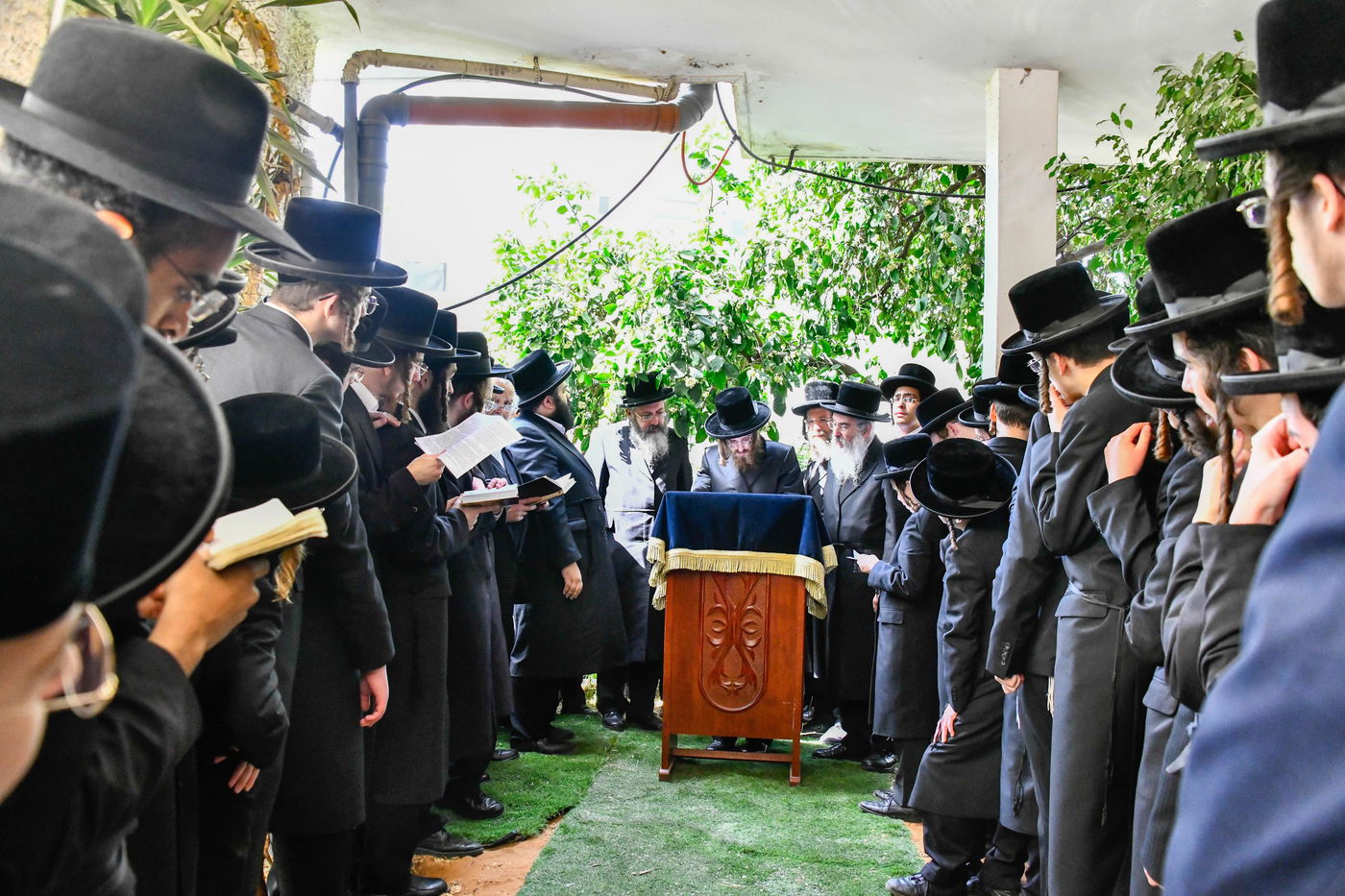 האדמו"ר מסאדיגורה בברכת האילנות 