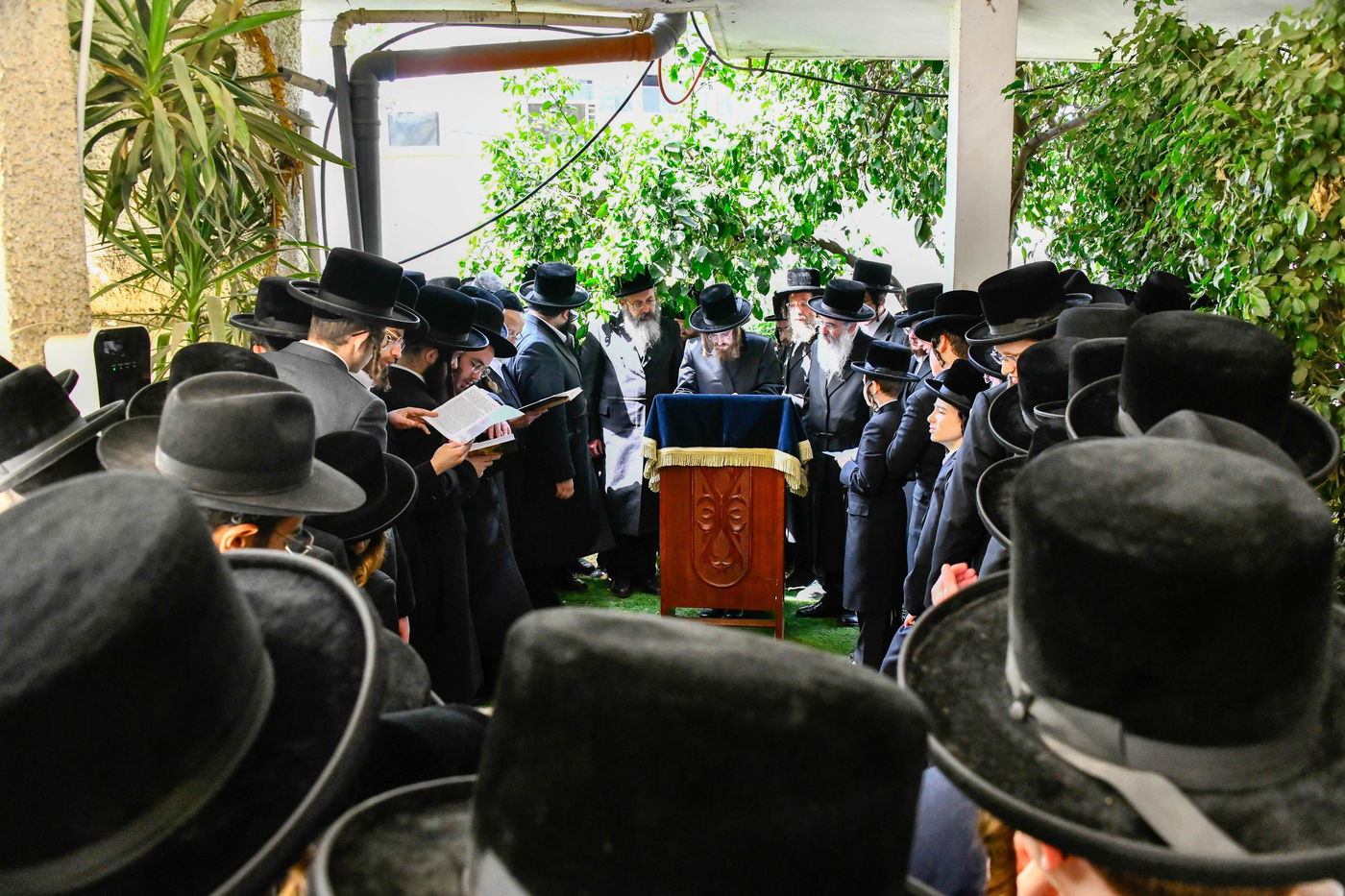 האדמו"ר מסאדיגורה בברכת האילנות 