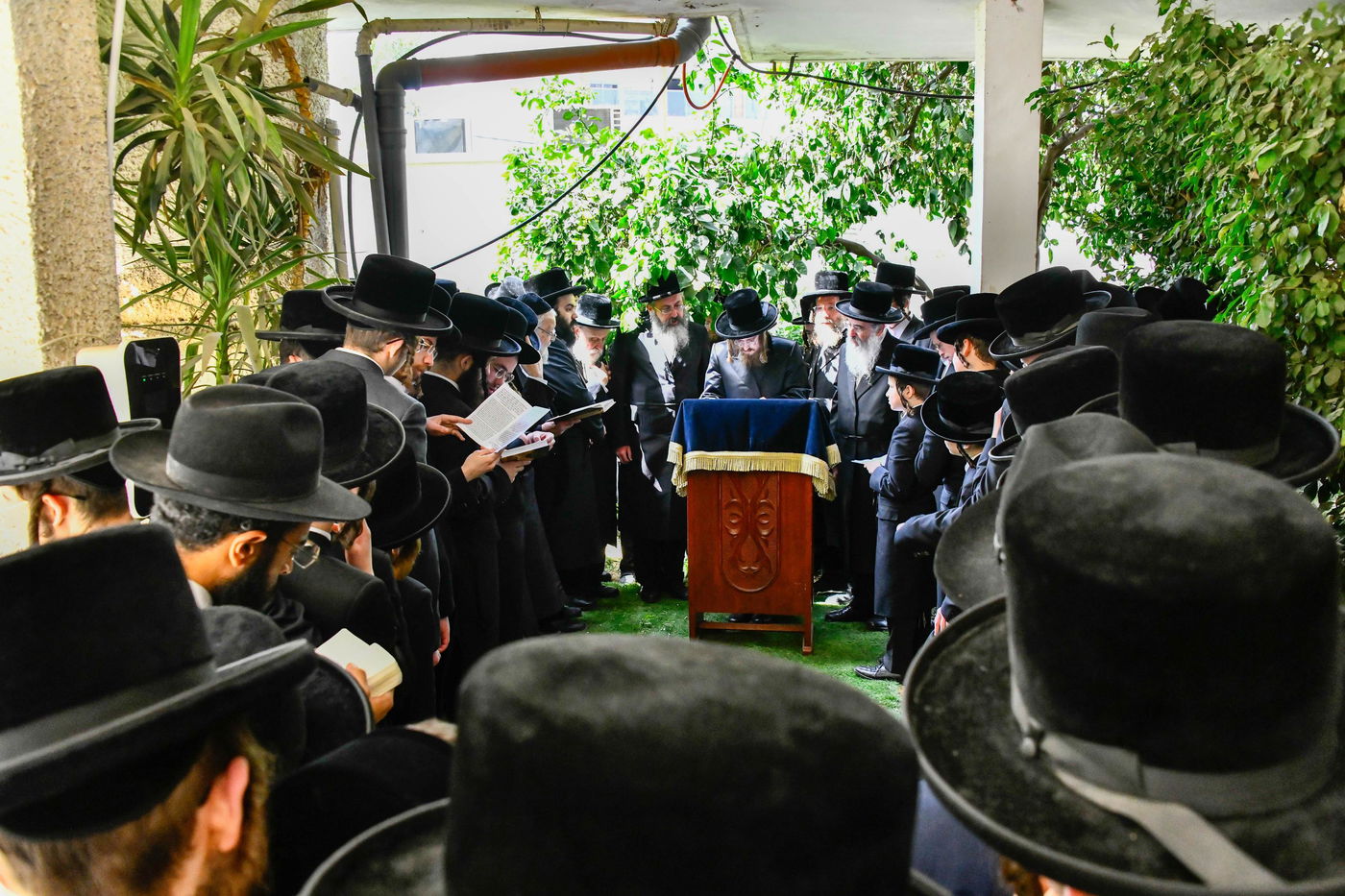 האדמו"ר מסאדיגורה בברכת האילנות 