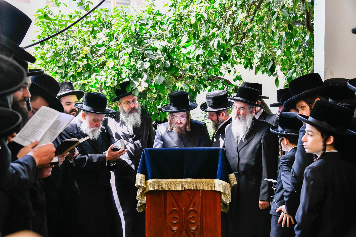 האדמו"ר מסאדיגורה בברכת האילנות 