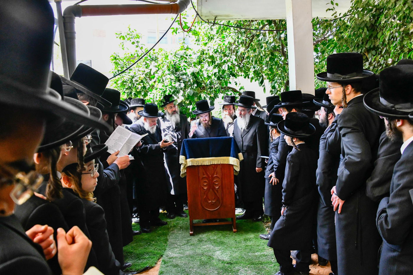 האדמו"ר מסאדיגורה בברכת האילנות 