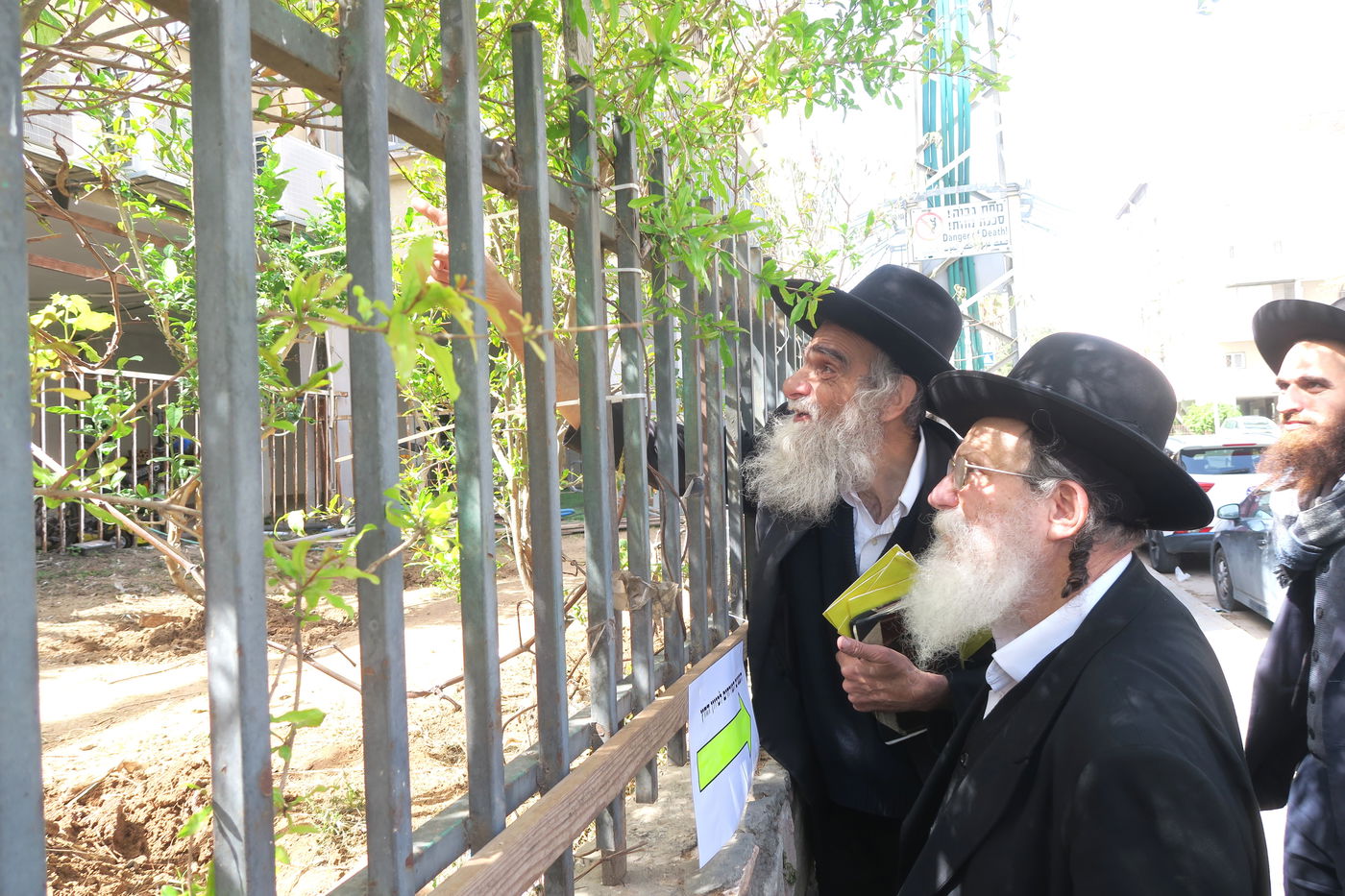 הגאון רבי שריאל רוזנברג בברכת האילנות