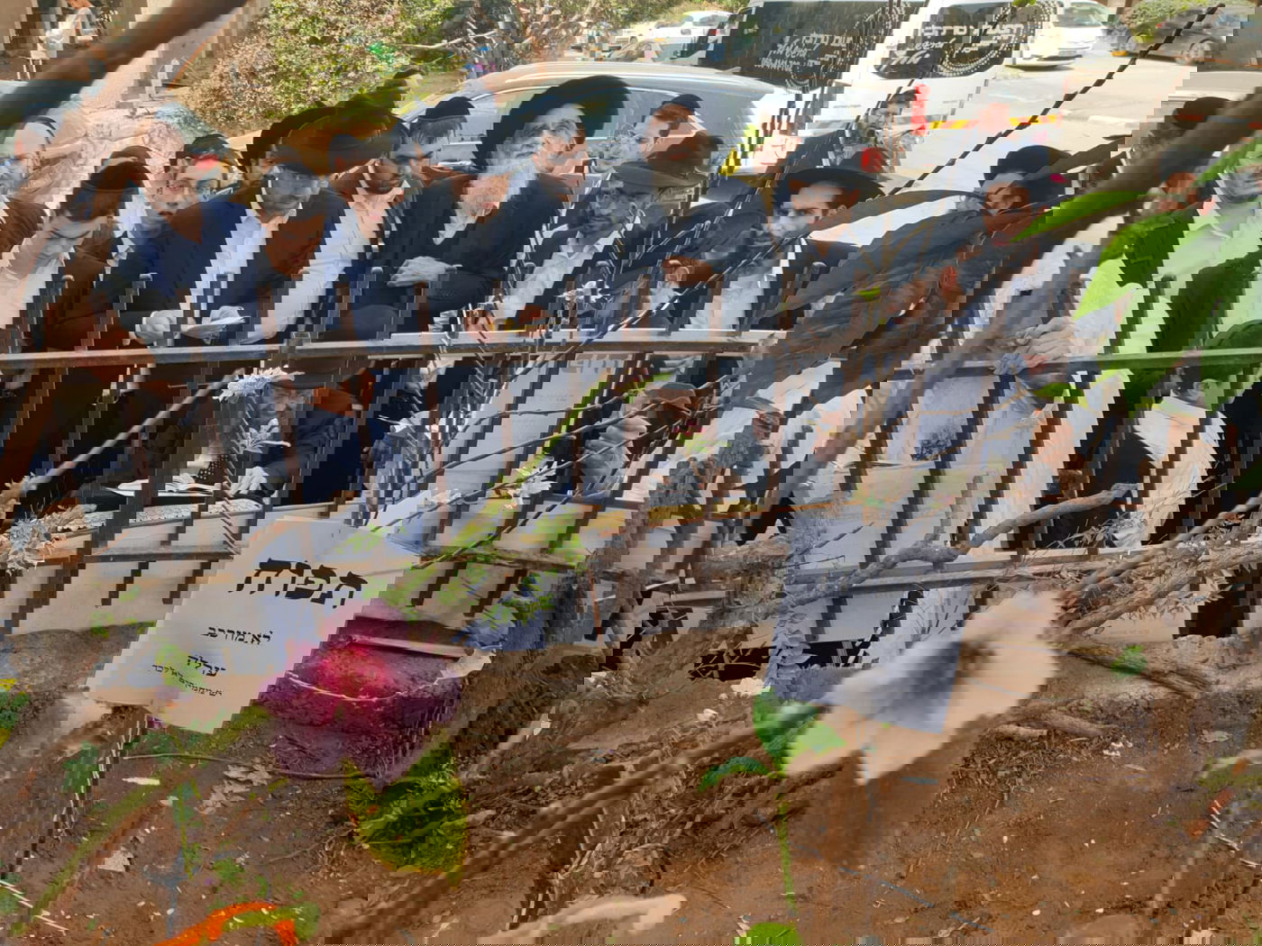 הגאון רבי מסעוד בן שמעון בברכת האילנות