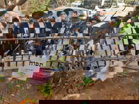 הגאון רבי מסעוד בן שמעון בברכת האילנות