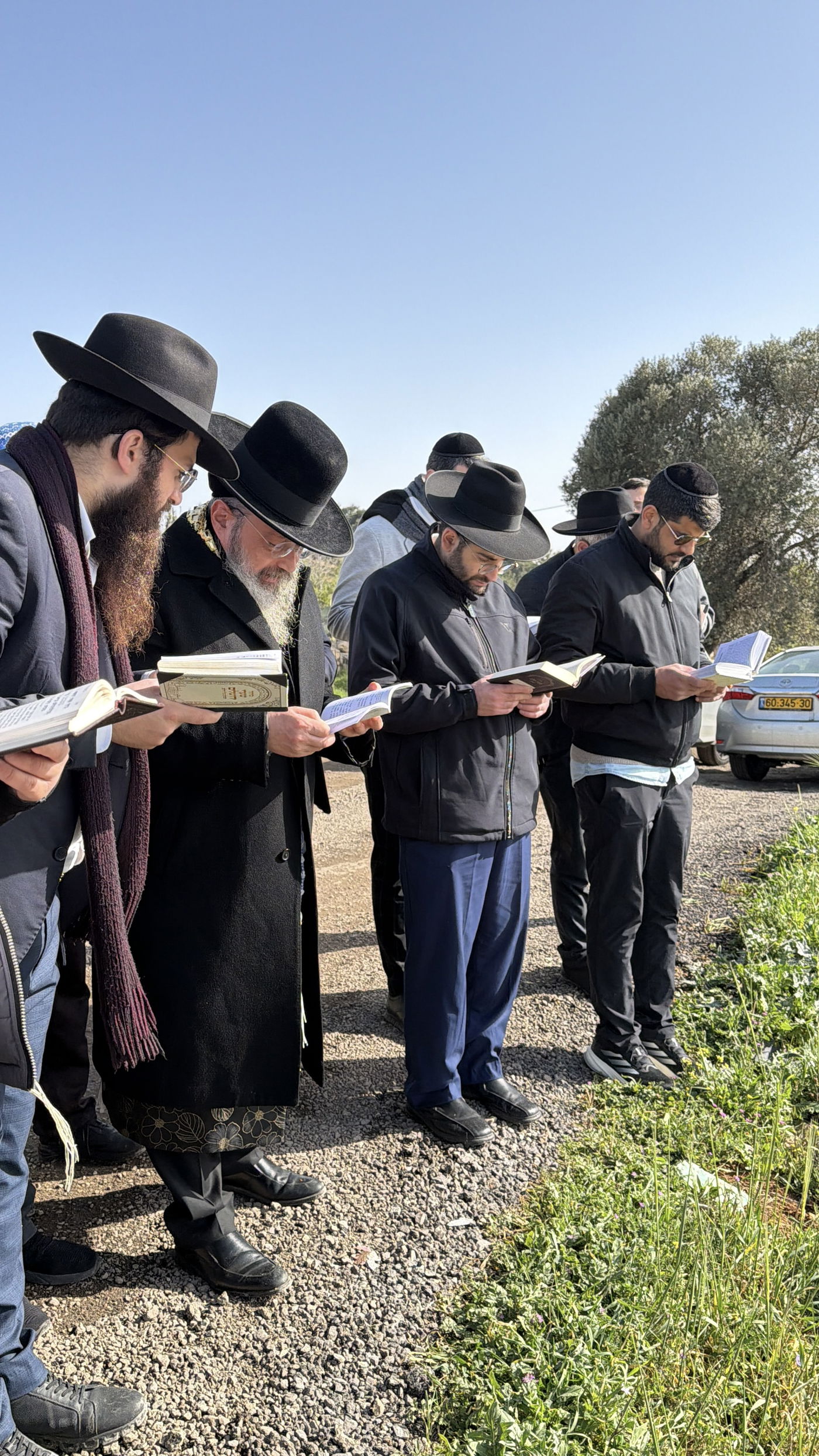 הגאון רבי שלמה בוסו בברכת האילנות