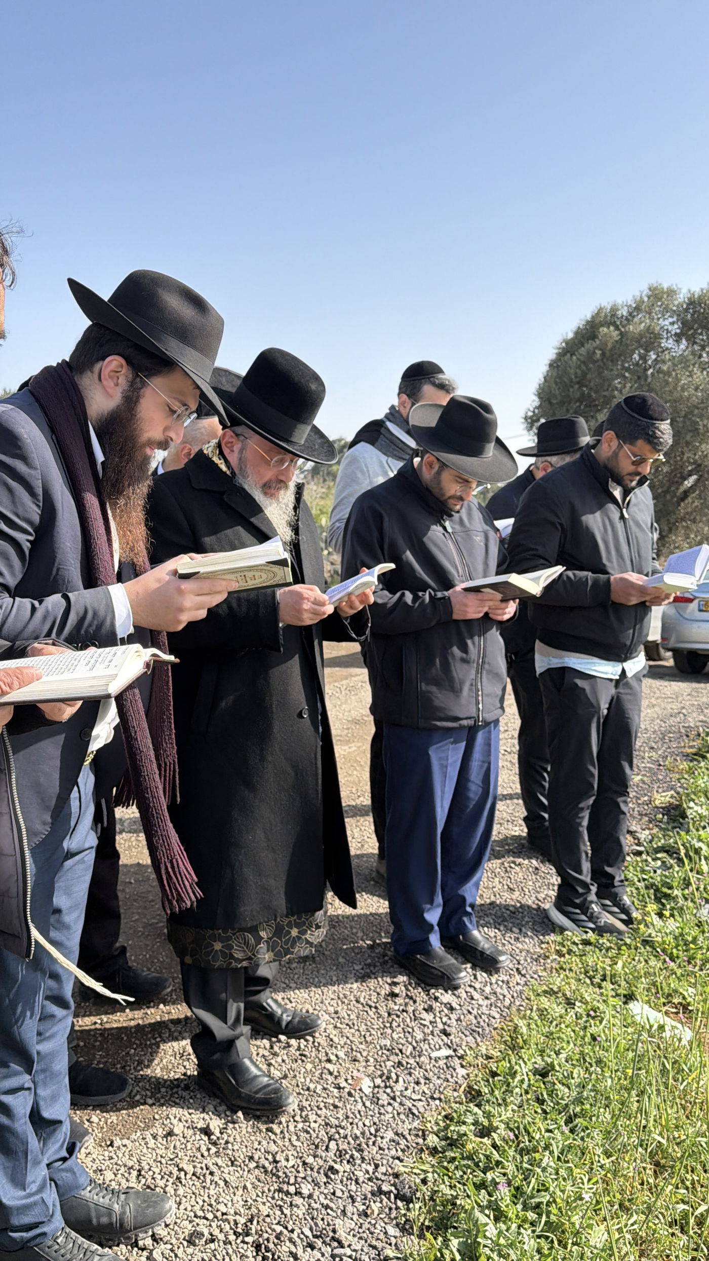הגאון רבי שלמה בוסו בברכת האילנות