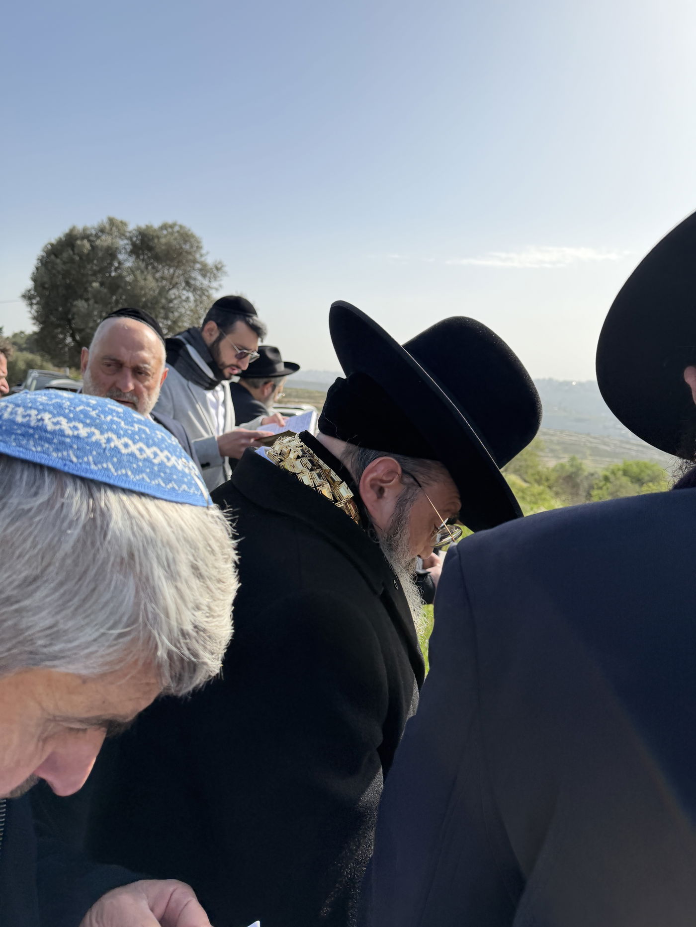 הגאון רבי שלמה בוסו בברכת האילנות