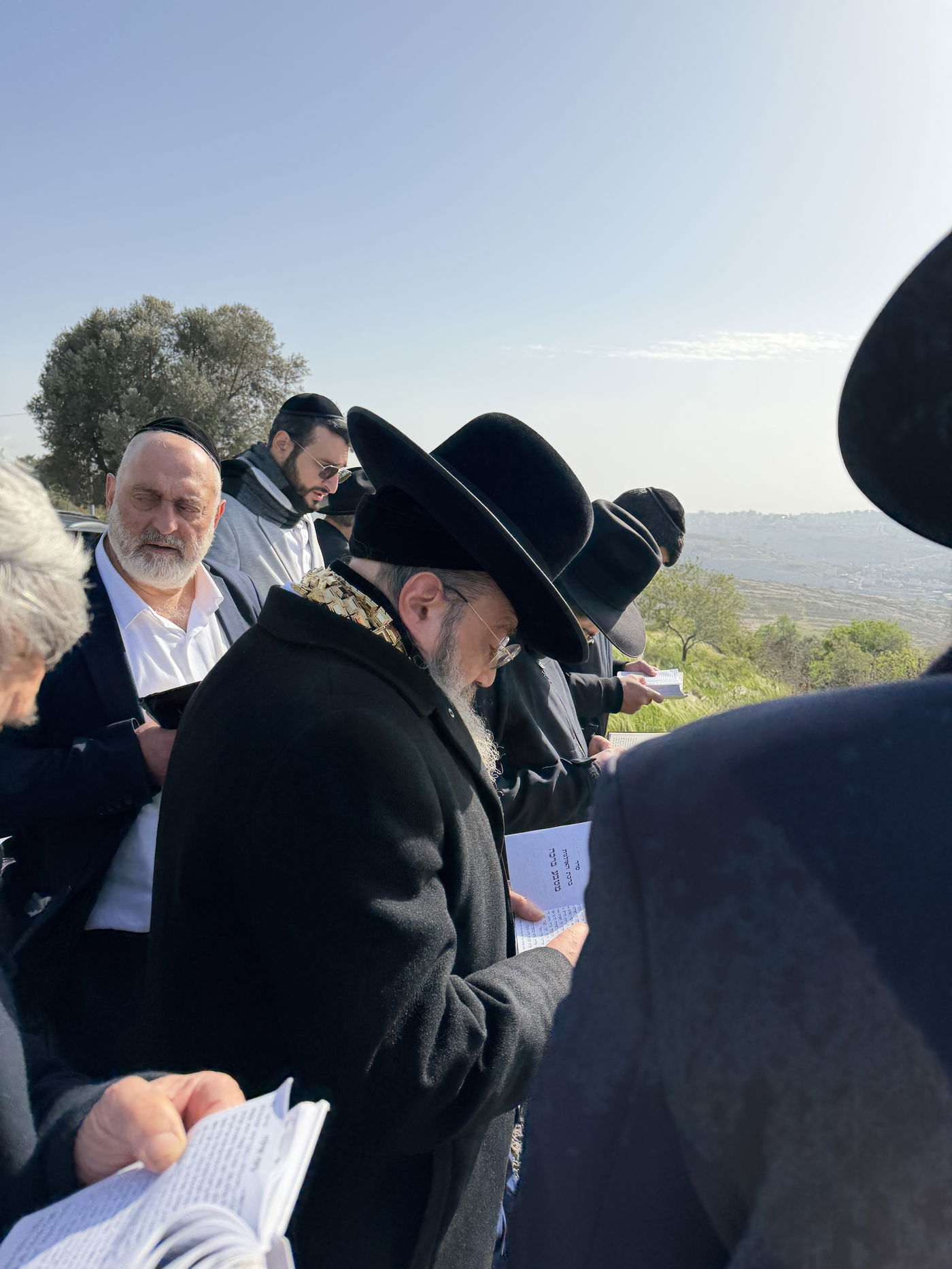 הגאון רבי שלמה בוסו בברכת האילנות